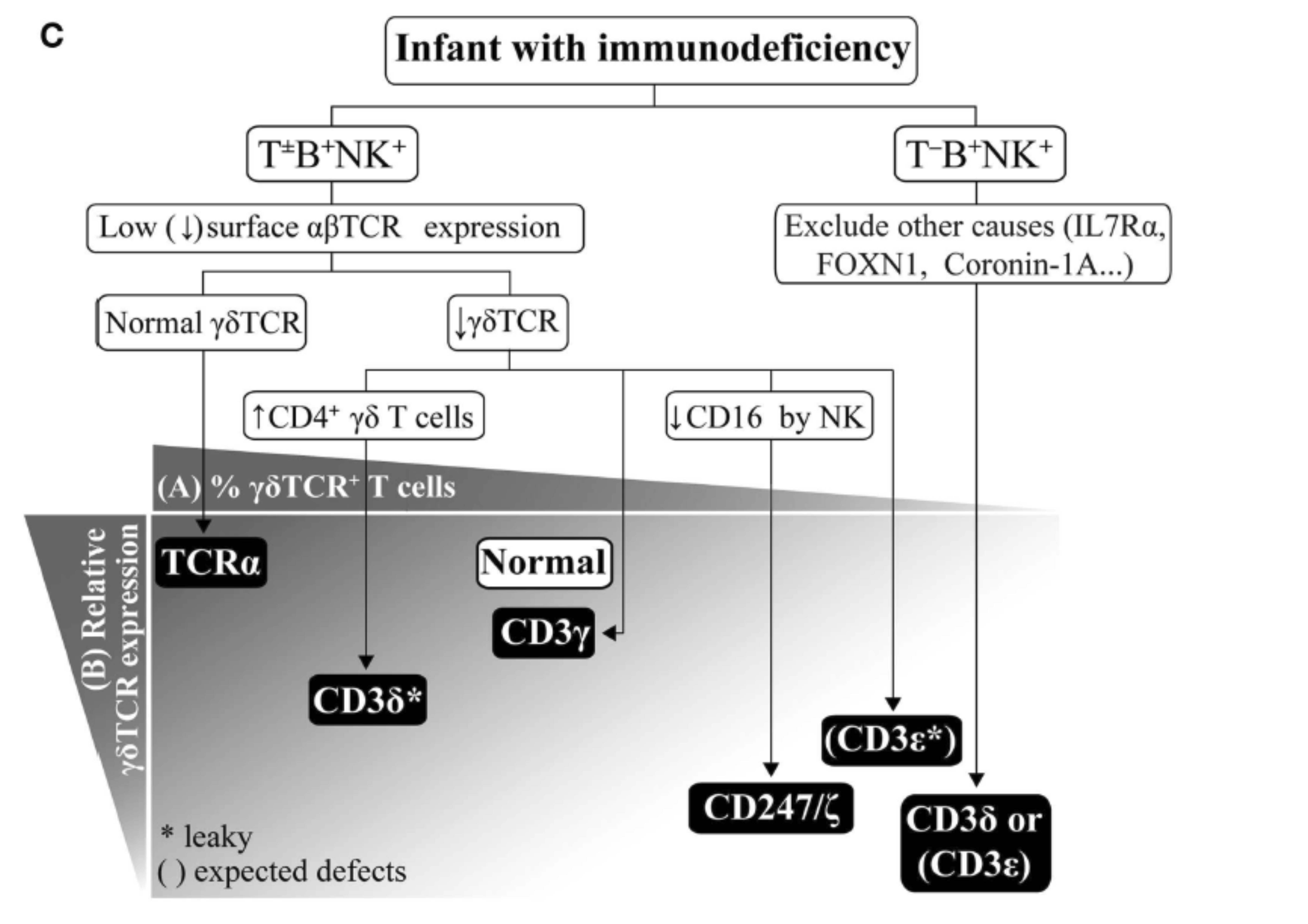 TCRID diagnostic flowchart (Front Immunol 2015)